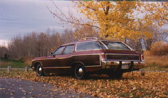 1973_Pontiac_Safari_rear.jpg (67027 bytes)