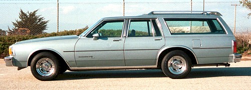 1985_Pontiac_Parisienne_side.jpg (39404 bytes)